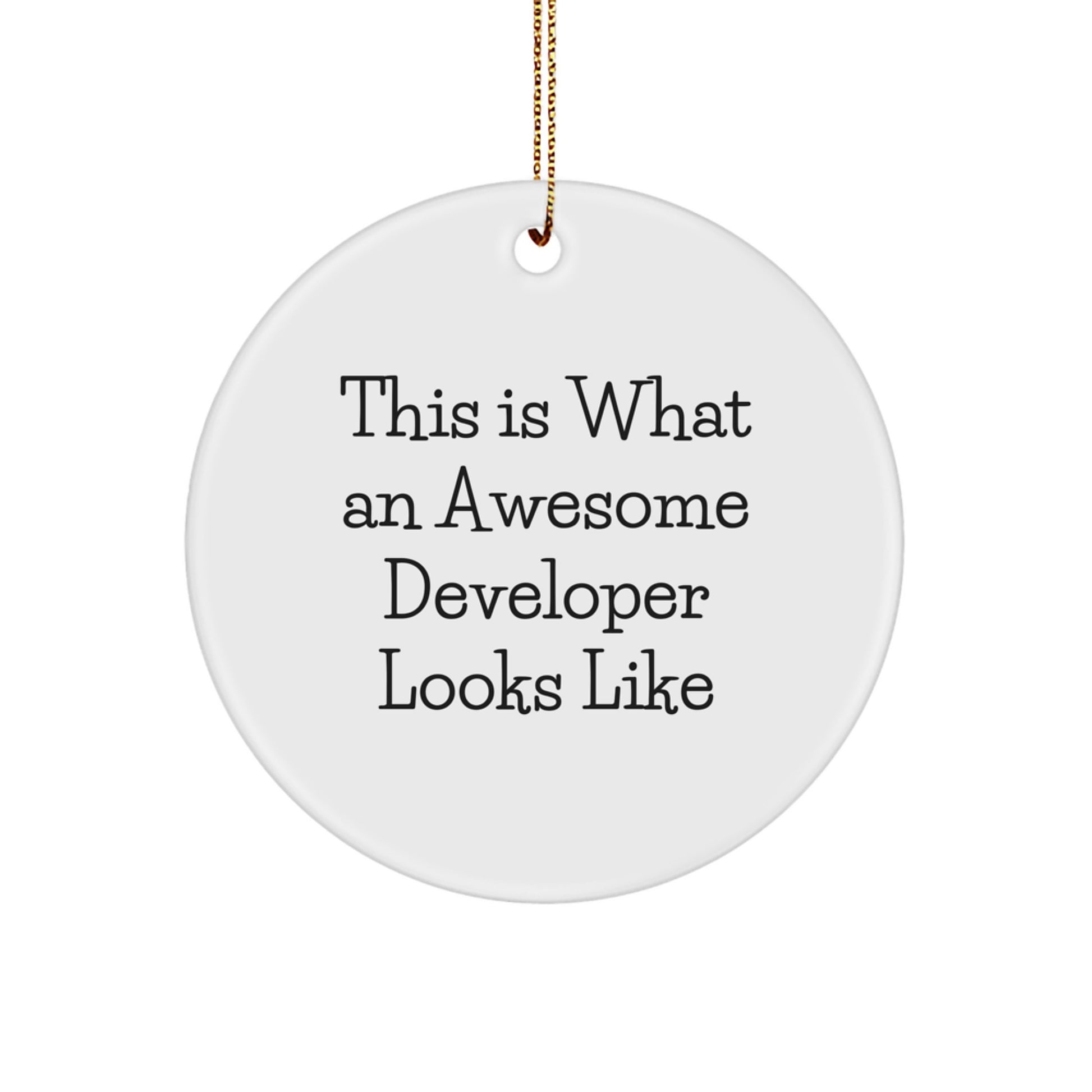 Funny Developer Gifts from Men - This Is What An Awesome Developer Looks Like Christmas Unique Ornaments for Developers - Image 1