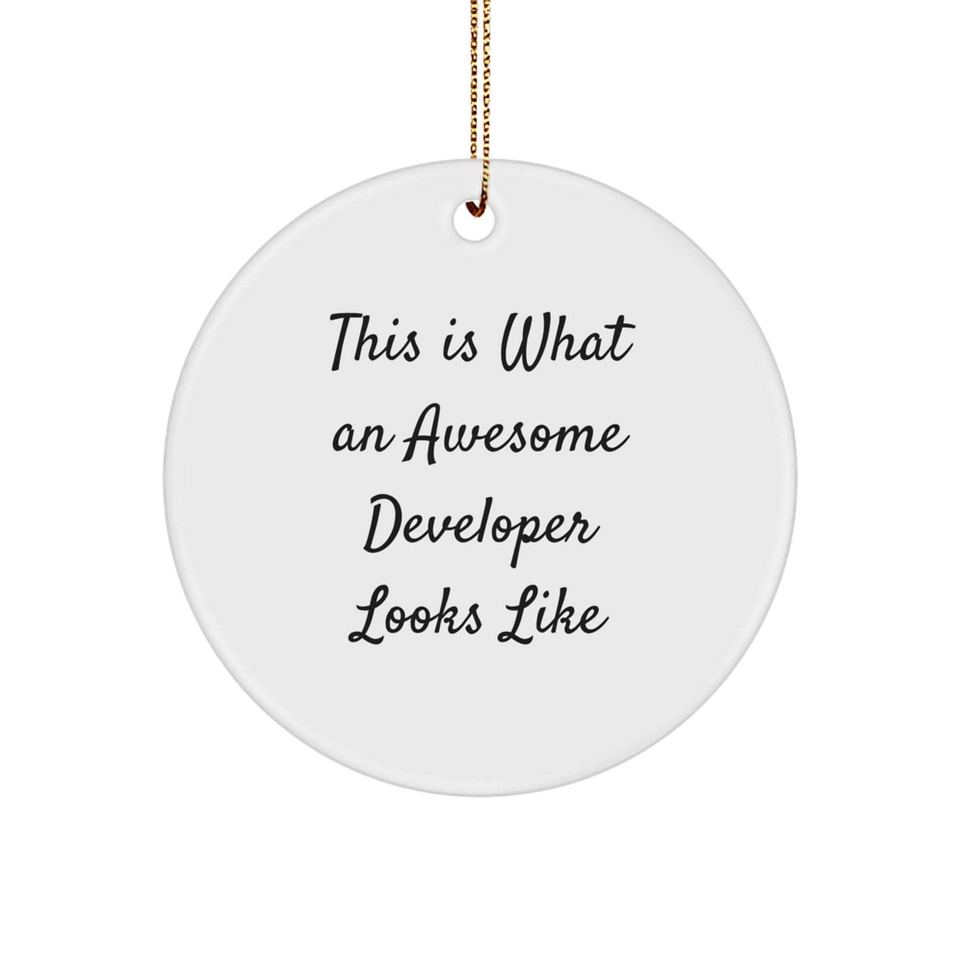 Funny Developer Circle Ornament Gifts from Family for Christmas Unique Presents - Image 1