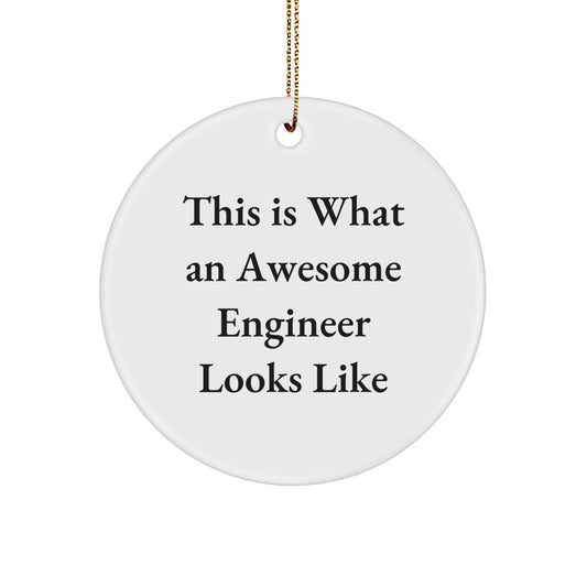 Funny Engineer Gifts, This Is What An Awesome Engineer Looks Like Circle Ornament, Christmas Unique Gifts for Men, Women, Friends, Coworkers, Family - Image 1