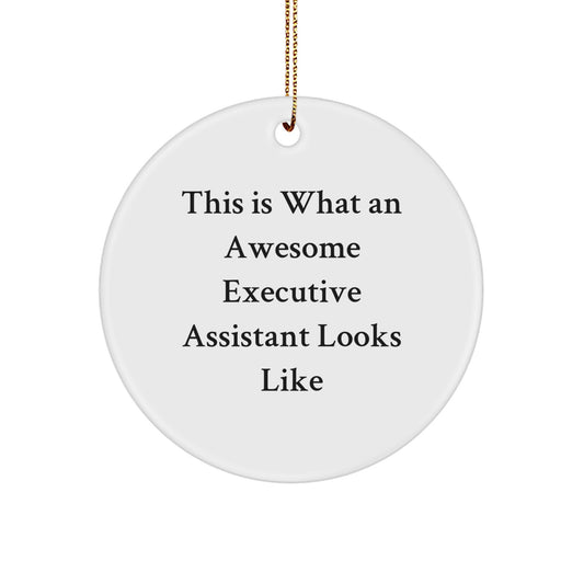 Funny Executive Assistant Gifts, Circle Ornament, 'This Is What An Awesome Executive Assistant Looks Like', Gifts from Family to Executive Assistant, Christmas Unique Gifts for Women, Circle Ornament - Image 1