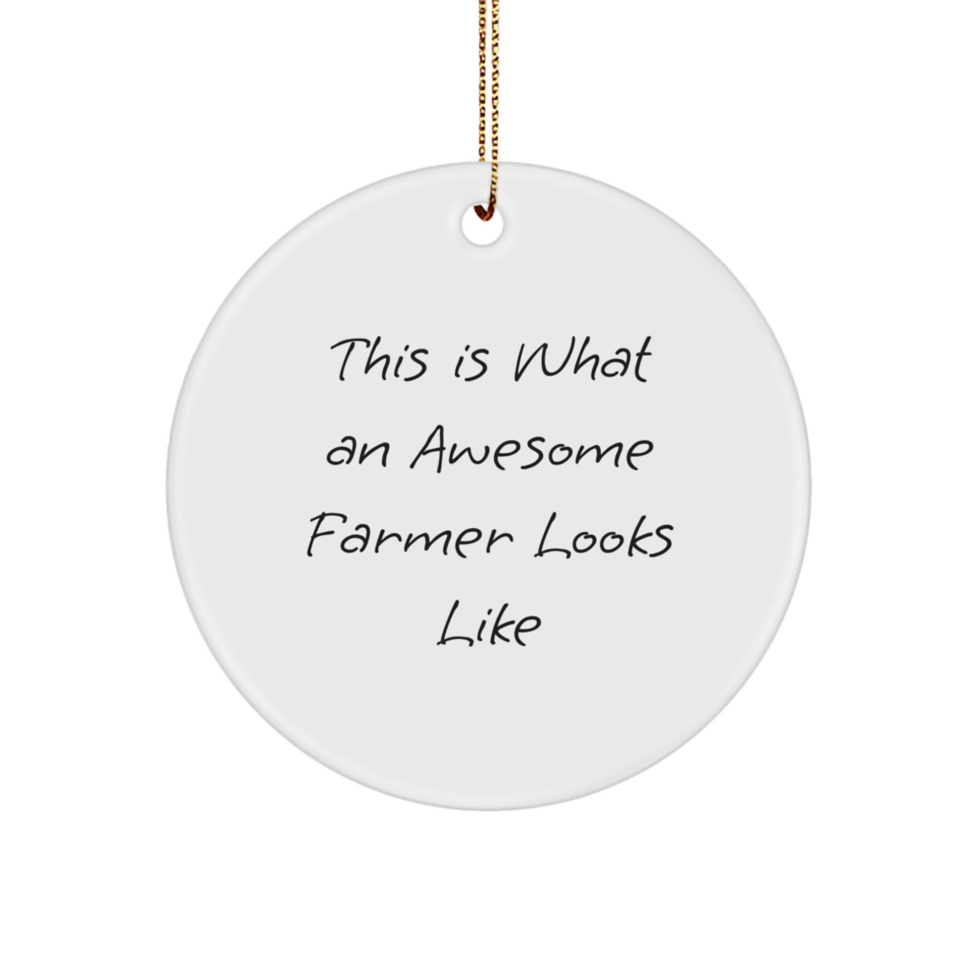 Funny Farmer Circle Ornament Gifts from Men to Women Friends Family - Image 1