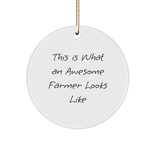 Funny Farmer Circle Ornament Gifts from Men to Women Friends Family - Image 1