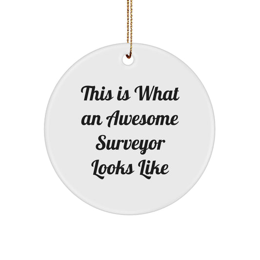 Funny Surveyor Gifts for Surveyor Lovers, Christmas Unique Gifts from Family, Friends or Coworkers - Surveyor Circle Ornament - Image 1