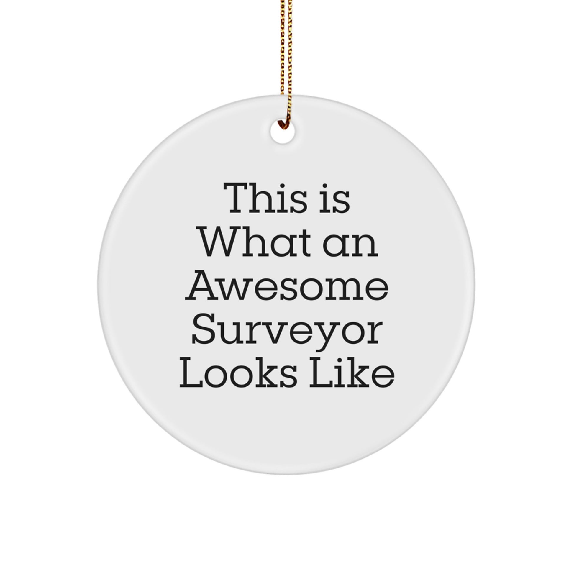 Funny Surveyor Gifts from Friends, Unique Circle Ornament for Surveyor Men, Christmas Unique Presents for Surveyor Family - Image 1