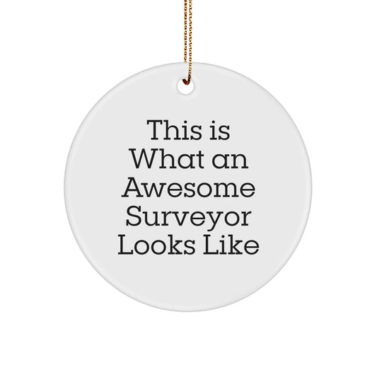 Funny Surveyor Gifts from Friends, Unique Circle Ornament for Surveyor Men, Christmas Unique Presents for Surveyor Family - Image 1