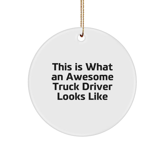 Truck Driver Gifts from Men - This Is What an Awesome 'Truck Driver' Looks Like, Unique Christmas Circle Ornament - Image 1