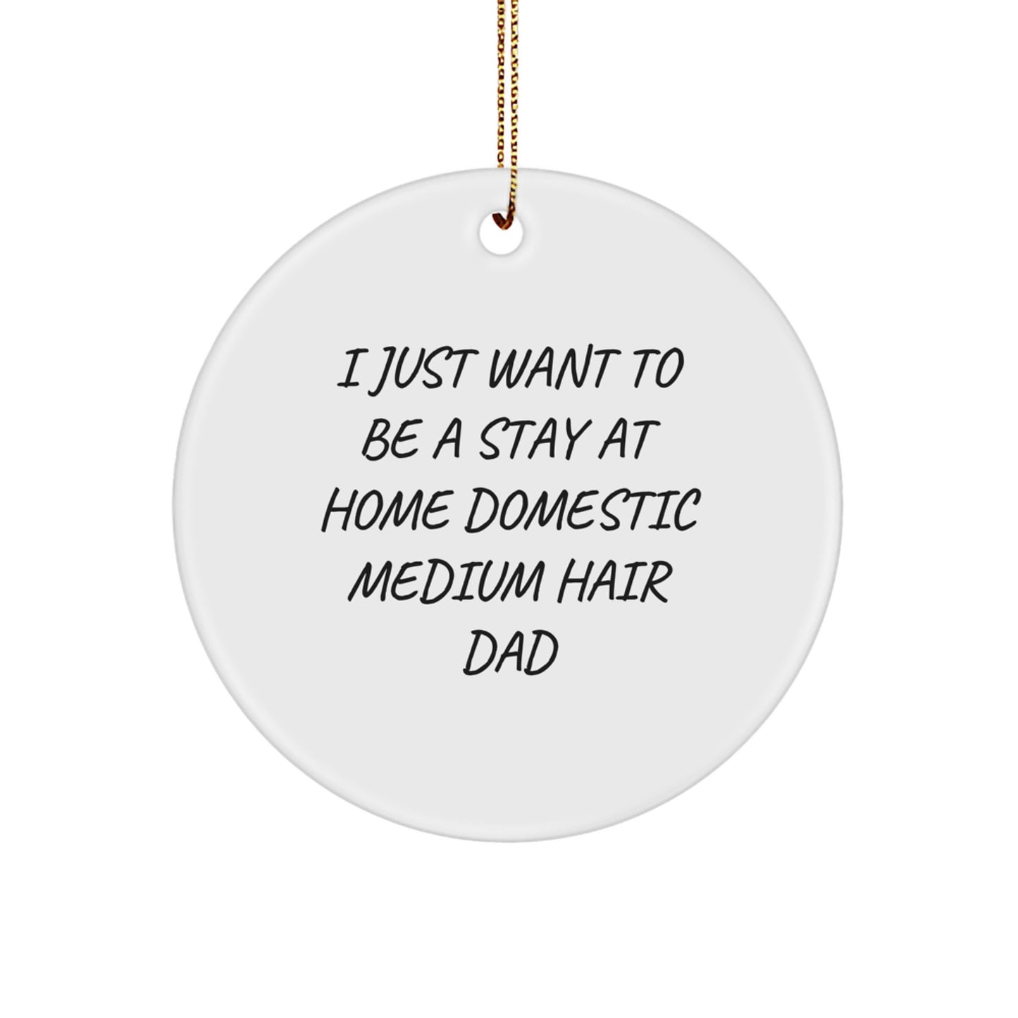 Christmas Unique Gifts for Domestic Medium Hair Dad, Funny Circle Ornament with 'I Just Want To Be A Stay At Home Domestic Medium Hair Dad' Quote, Gifts from Family - Image 1