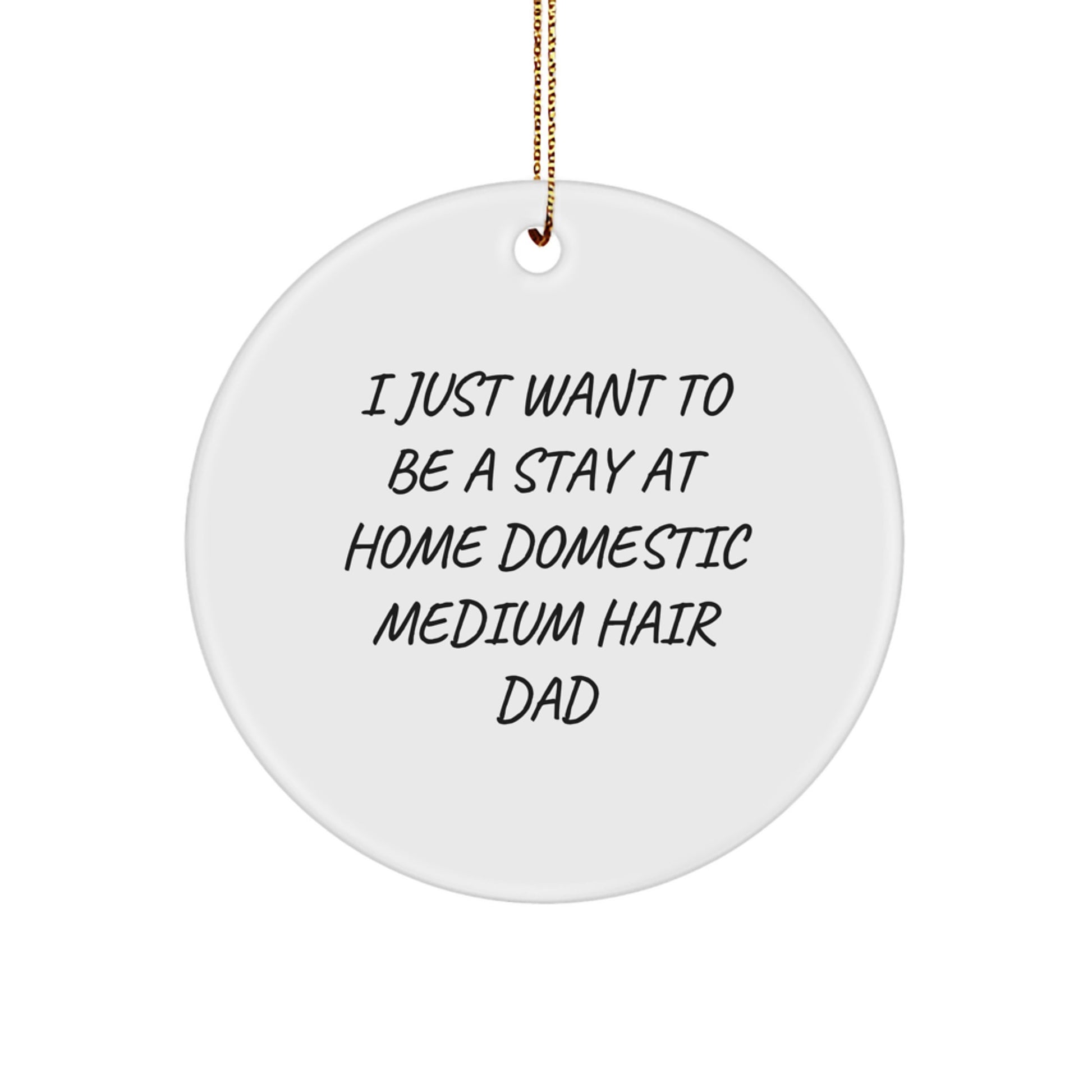 Christmas Unique Gifts for Domestic Medium Hair Dad, Funny Circle Ornament with 'I Just Want To Be A Stay At Home Domestic Medium Hair Dad' Quote, Gifts from Family - Image 1