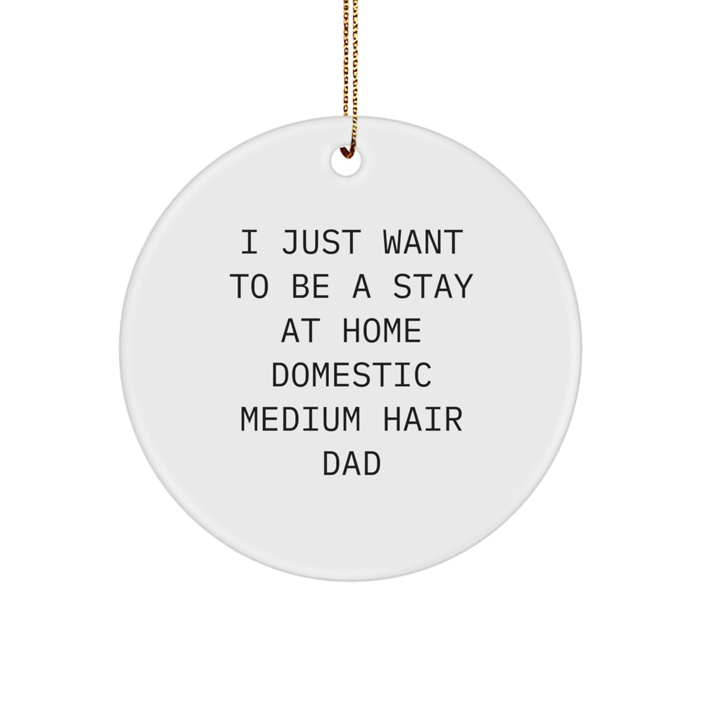 Commemorate Christmas with Funny 'I Just Want To Be A Stay At Home Domestic Medium Hair Dad' Circle Ornament Gifts from Men to Domestic Medium Hair - Image 1