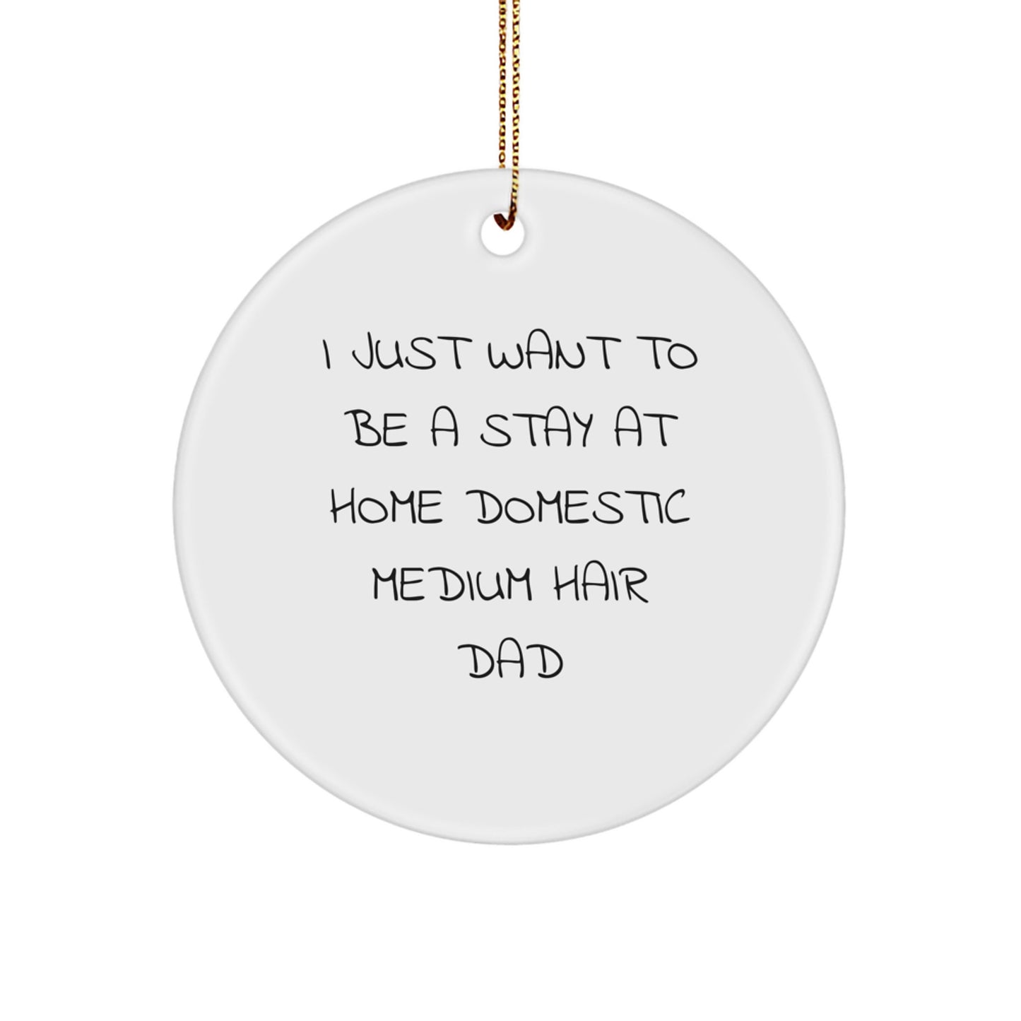 Funny Domestic Medium Hair Gifts for Dad, I Just Want To Be A Stay At Home Domestic Medium Hair Dad Christmas Circle Ornament Gifts from Men - Image 1