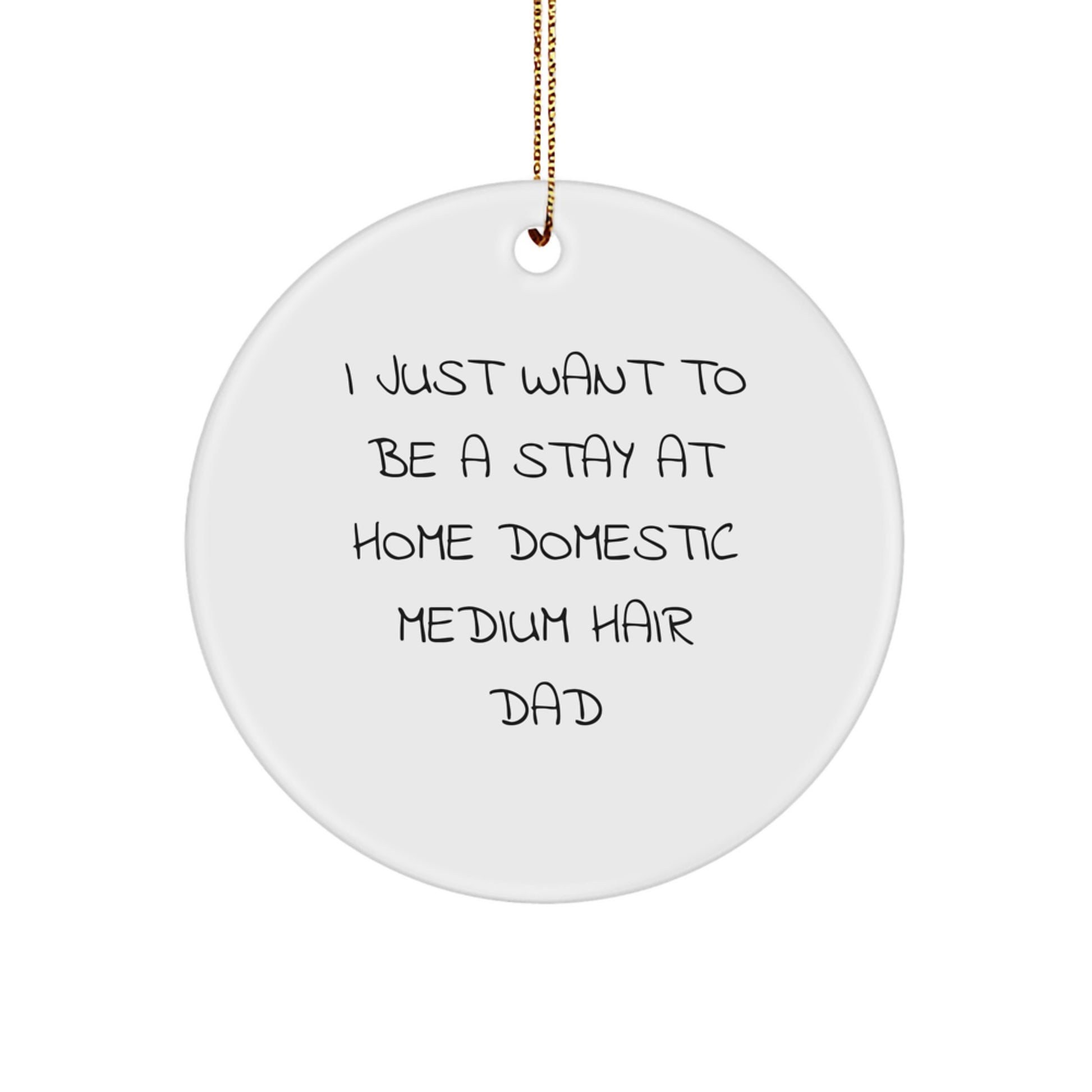 Funny Domestic Medium Hair Gifts for Dad, I Just Want To Be A Stay At Home Domestic Medium Hair Dad Christmas Circle Ornament Gifts from Men - Image 1