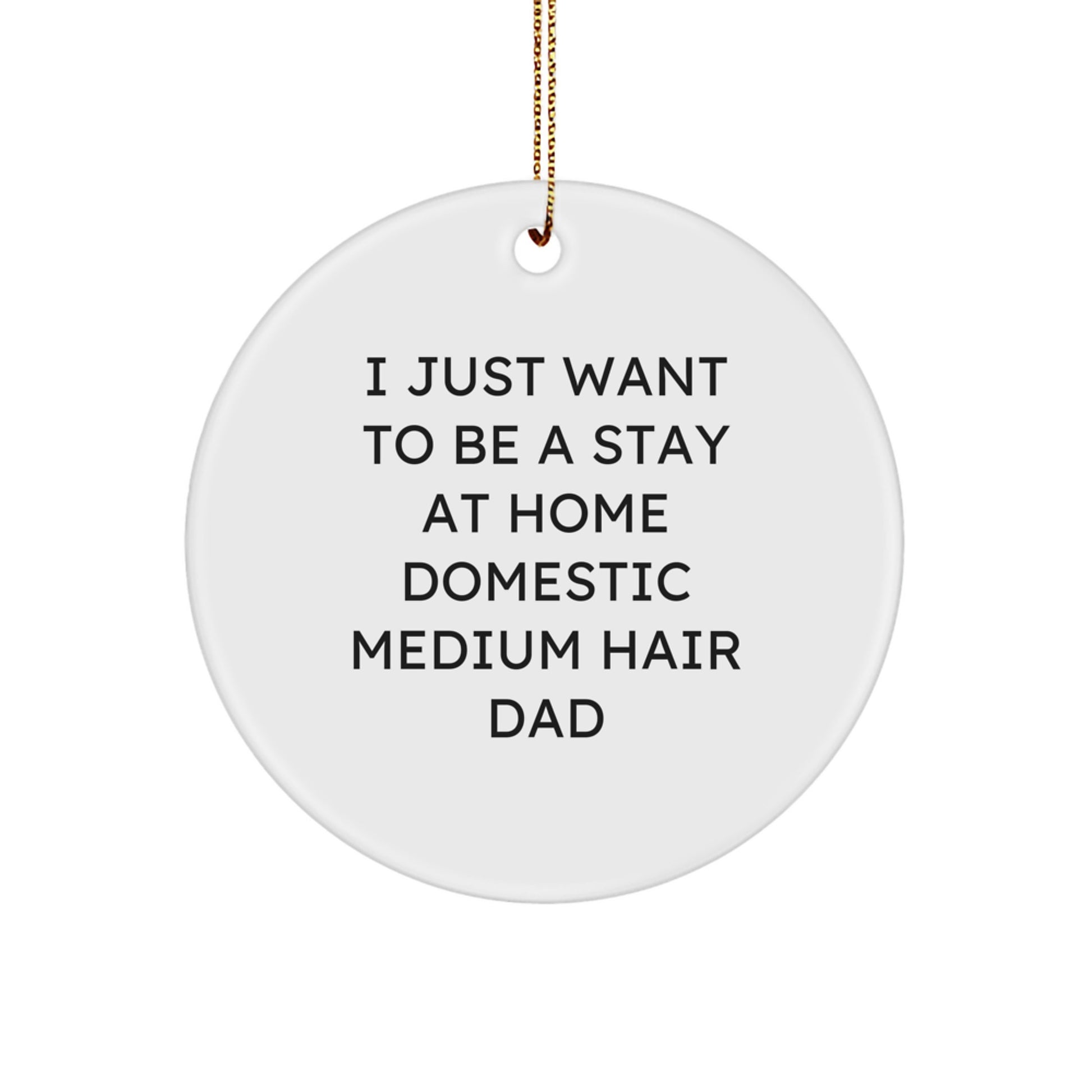 Funny Domestic Medium Hair Gifts from Men to Friends, Christmas Unique Circle Ornament for Stay at Home Dad 'I Just Want To Be' Decorations - Image 1