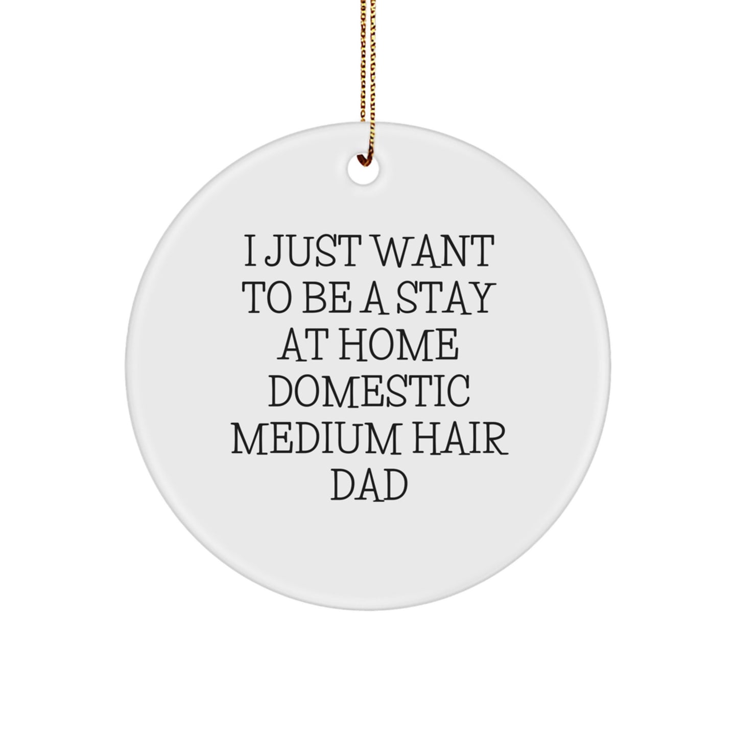 Funny Domestic Medium Hair Gifts from Men to Stay at Home Dads for Christmas Unique Circle Ornaments - Image 1