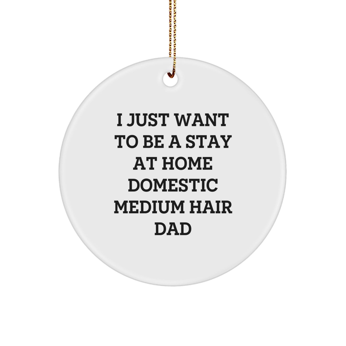 Funny Domestic Medium Hair Circle Ornament Gifts for Dad - I Just Want To Be A Stay At Home Domestic Medium Hair Dad Christmas Unique Gifts from Friends - Image 1