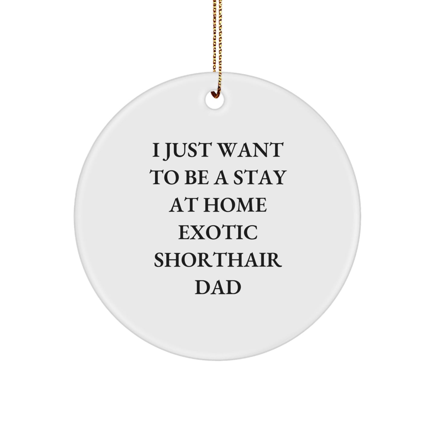 Funny Exotic Shorthair Cat Circle Ornament Gifts from Dad for Exotic Shorthair Cat Lovers on Christmas - Image 1