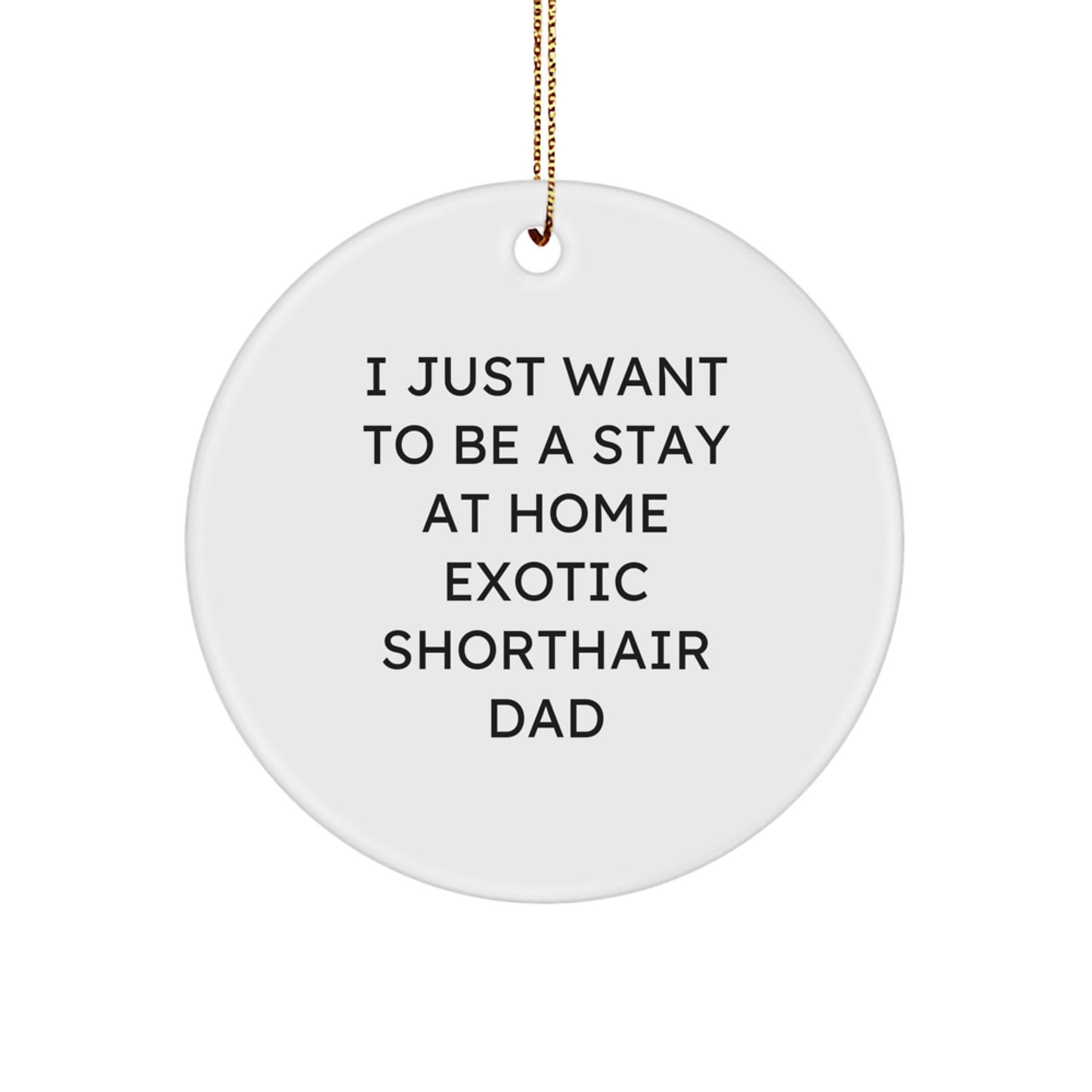 Funny Exotic Shorthair Cat Dad Gifts, Cute Circle Ornament for Christmas, 'I Just Want To Be A Stay At Home Exotic Shorthair Dad' Quote, Gift from Dad to Daughter, Son or Friends - Image 1