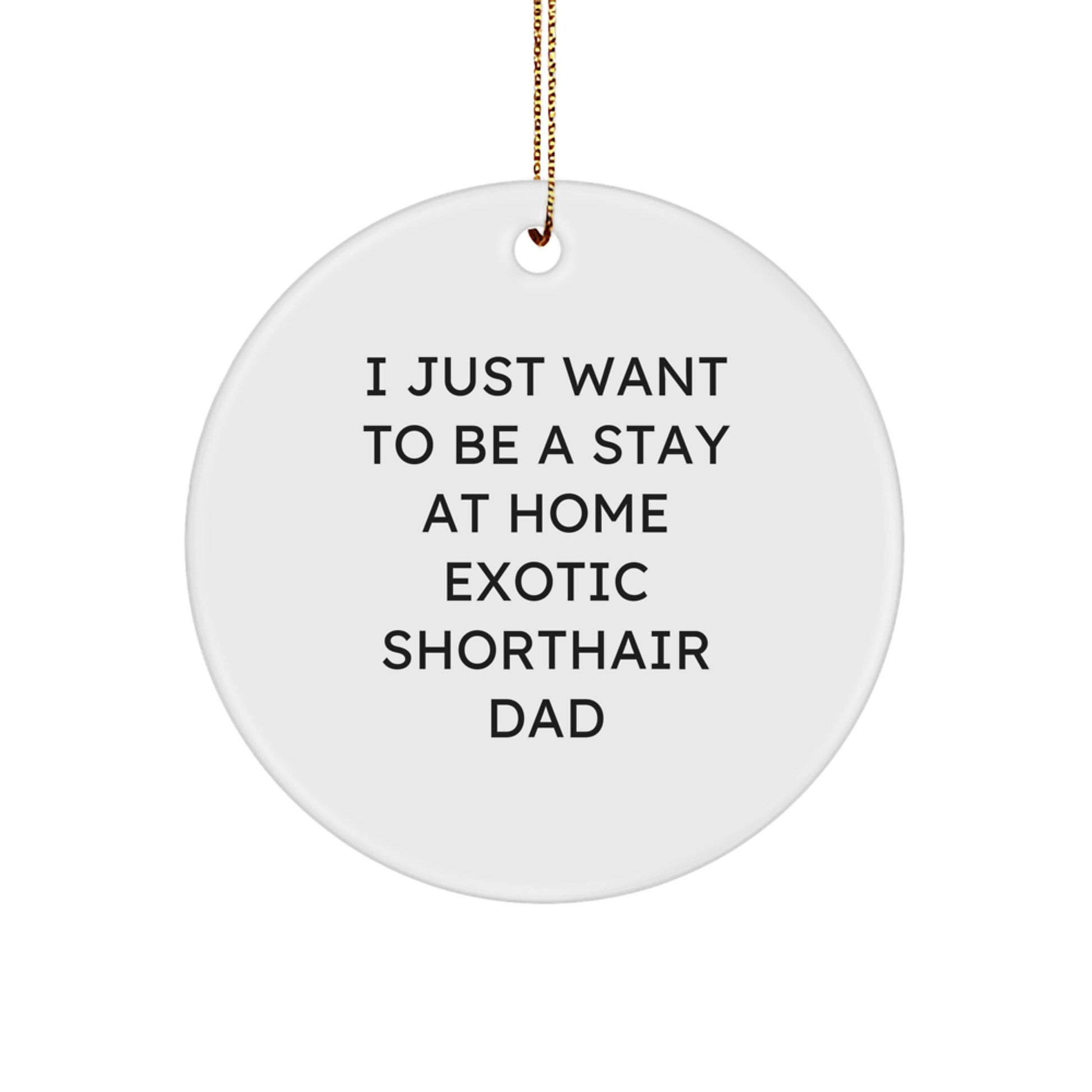 Funny Exotic Shorthair Cat Dad Gifts, Cute Circle Ornament for Christmas, 'I Just Want To Be A Stay At Home Exotic Shorthair Dad' Quote, Gift from Dad to Daughter, Son or Friends - Image 1