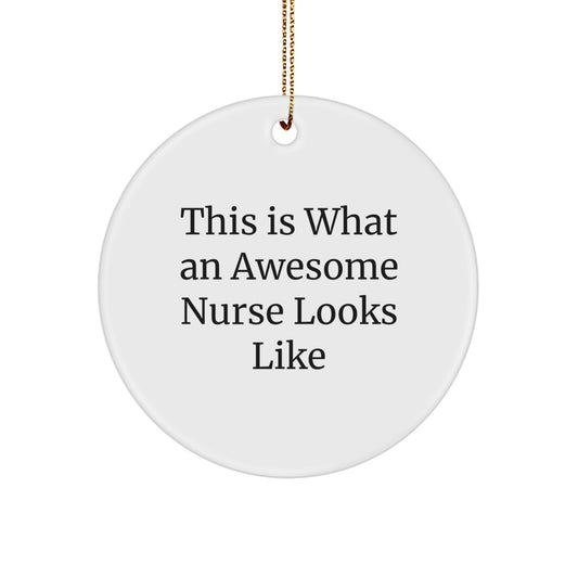 Gifts from Friends for Awesome Nurses - Christmas Circle Ornament with Quote 'This Is What An Awesome Nurse Looks Like' - Unique Nurse Gifts - Image 1