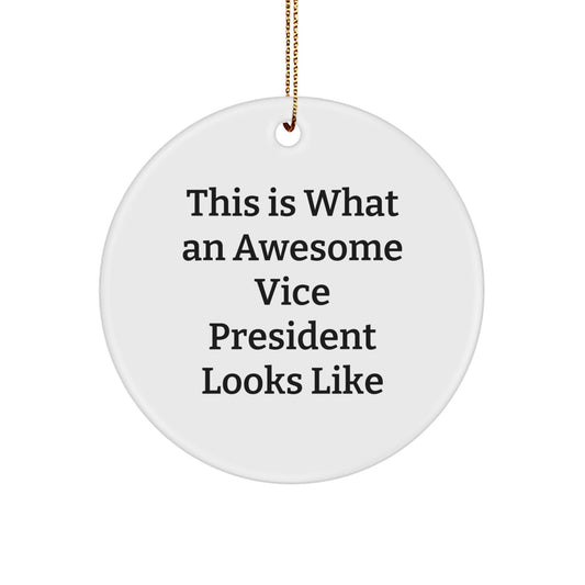 Funny Vice President Gifts from Friends - 'This Is What An Awesome Vice President Looks Like' Circle Ornament for Christmas - Image 1
