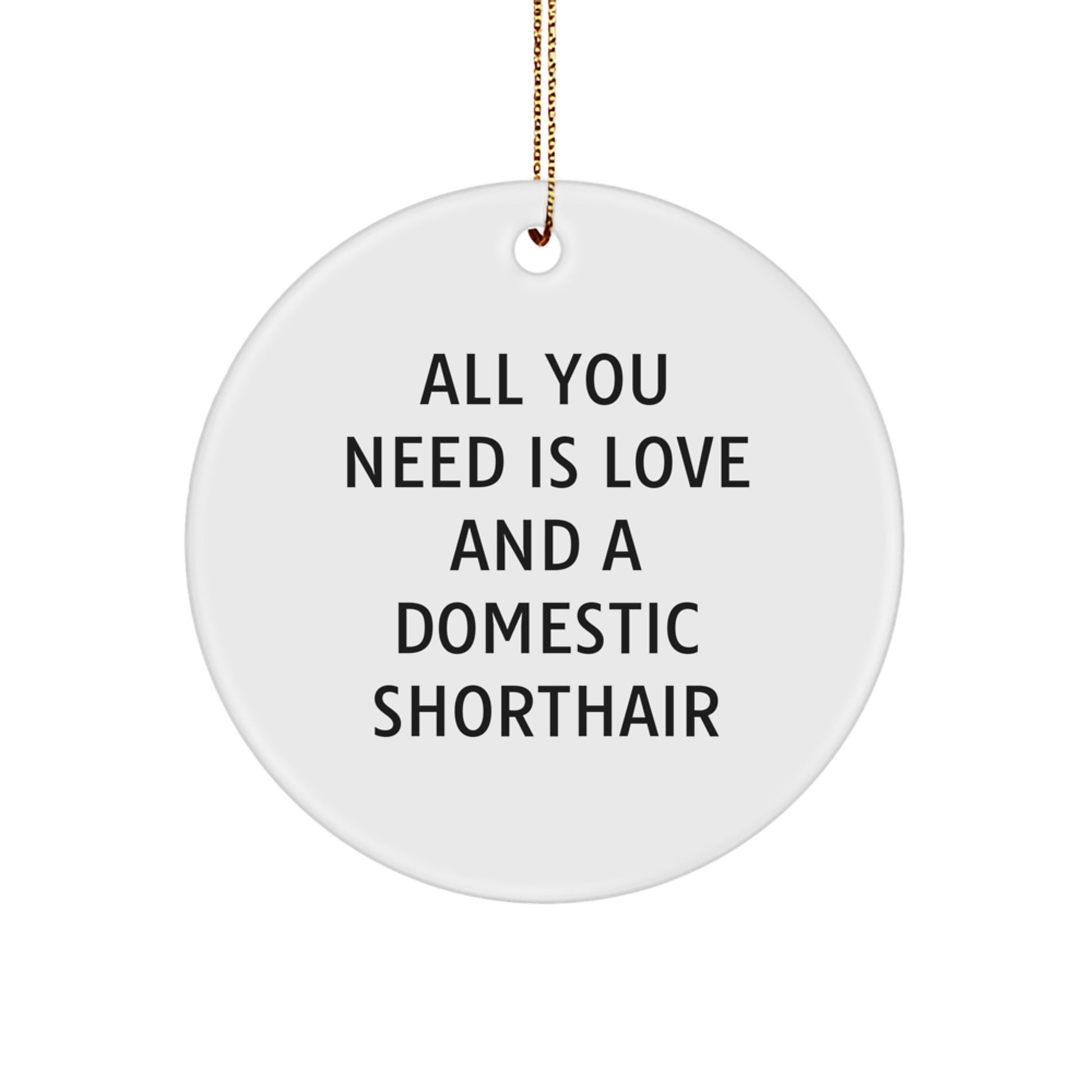 Funny Domestic Shorthair Cat Circle Ornament Gifts from Friends and Family for Christmas Unique Decorations - Image 1