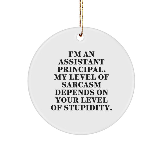 Funny Assistant Principal Gifts for Men - I'm An Assistant Principal Circle Ornament, White Christmas Unique Gifts from Friends, Coworkers, Family - Image 1