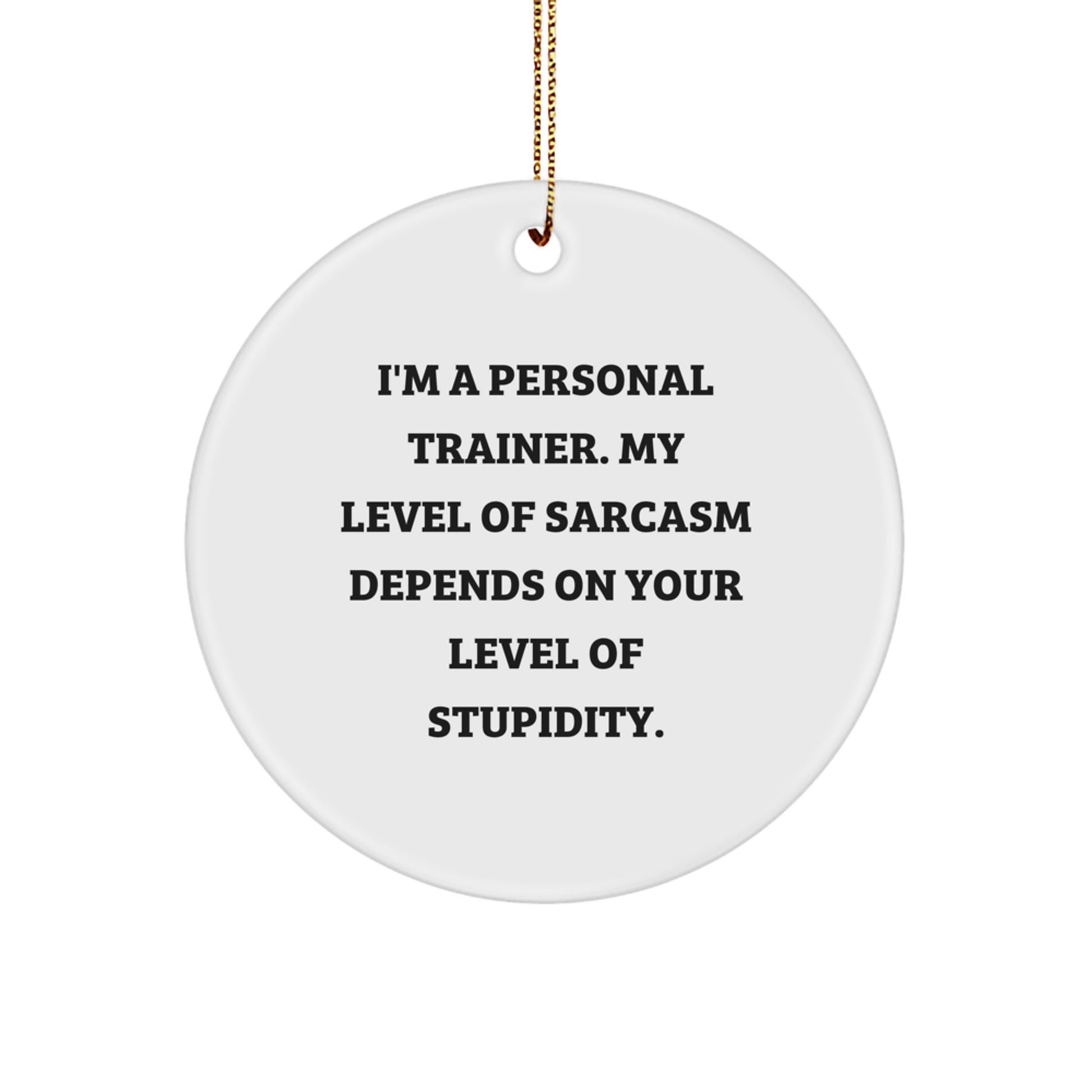 Funny Personal Trainer Gifts from Men for Women Friends - Sarcasm Level Ornament for Christmas Unique Decorative Circle - Image 1