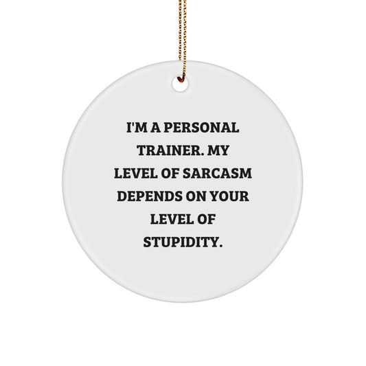Funny Personal Trainer Gifts from Men for Women Friends - Sarcasm Level Ornament for Christmas Unique Decorative Circle - Image 1