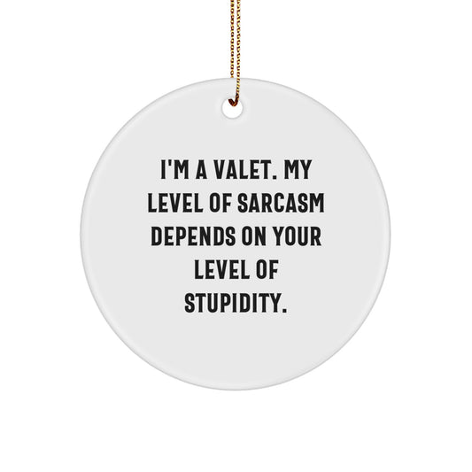 Funny Valet Gifts Circle Ornament for Valet from Friends, Christmas Unique Gifts for Men, Women, Coworkers, Family, Circle Ornaments, Valet Quotes, Sarcastic Gifts - Image 1