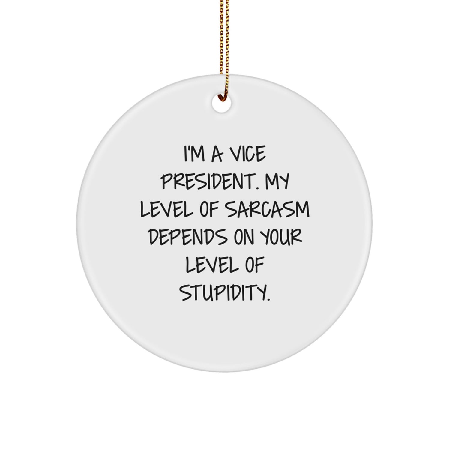 Funny Vice President Circle Ornament Gifts from Friends for Christmas Unique Presents - Image 1