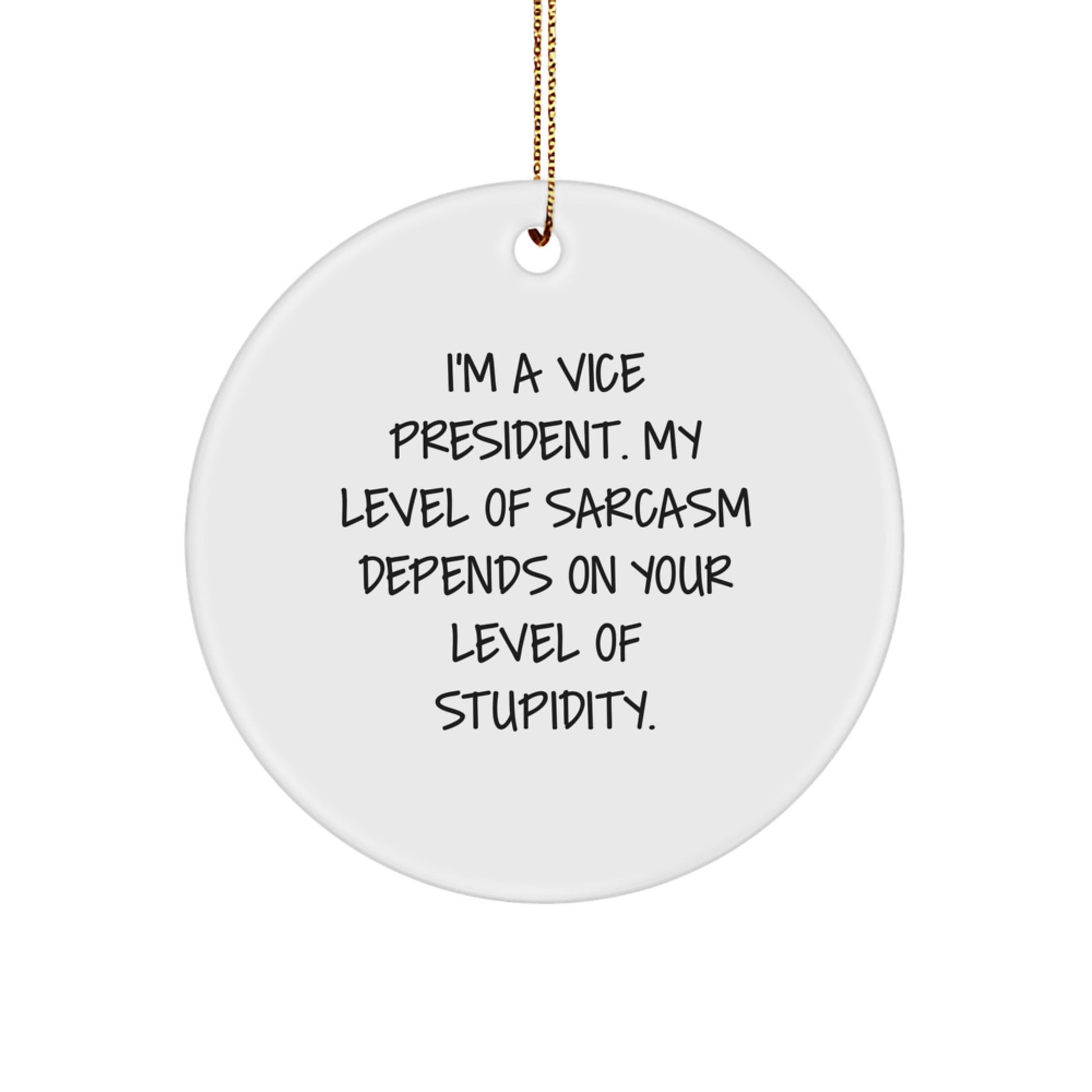 Funny Vice President Circle Ornament Gifts from Friends for Christmas Unique Presents - Image 1