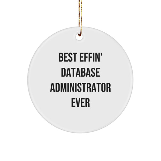 Funny Gifts for Database Administrator - Best Effin' Database Administrator Ever Circle Ornament, Christmas Unique Decorations for Friends, Family, Coworkers - Image 1