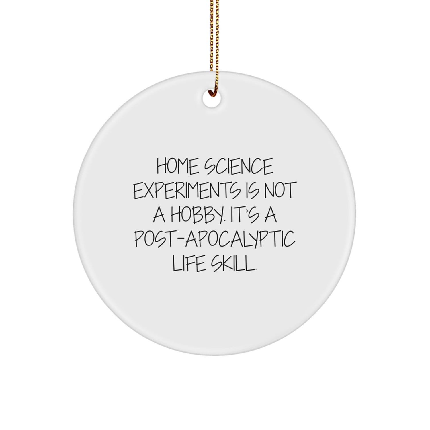 Home Science Experiments Gifts for Men, Women, and Kids - Funny Quote Circle Ornament, Gifts from Family for Christmas Unique Gifts - Image 1
