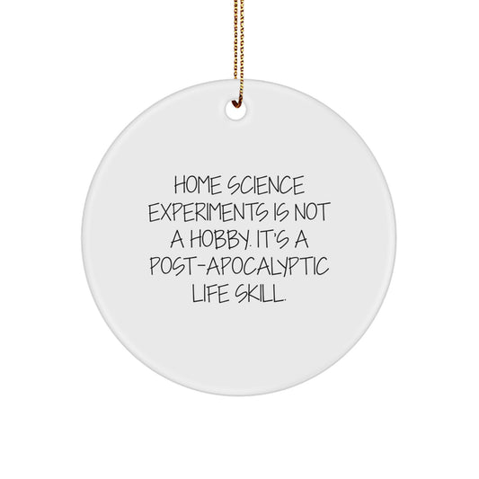 Home Science Experiments Gifts for Men, Women, and Kids - Funny Quote Circle Ornament, Gifts from Family for Christmas Unique Gifts - Image 1