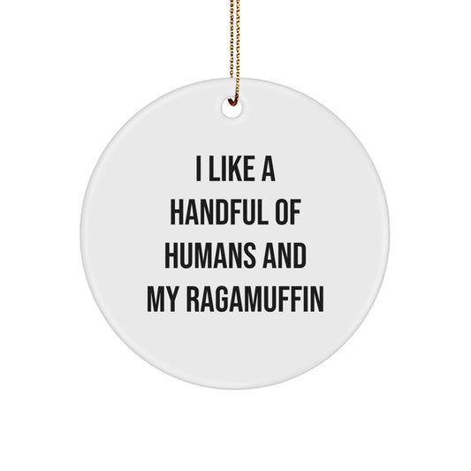 Funny Ragamuffin Cat Christmas Circle Ornaments Gifts from Family for Friends, I 'Like A Handful Of Humans And My Ragamuffin' Lover, Unique Christmas Unique Gifts, Circle Ornaments for Home Decor - Image 1