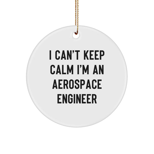 Funny 'I Can't Keep Calm I'm An Aerospace Engineer' Christmas Unique Gifts for Aerospace Engineer Friends and Family - Image 1