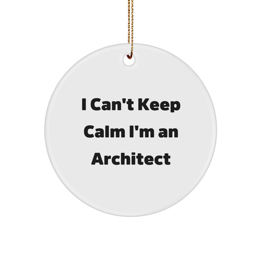 Funny Architect Christmas Unique Gifts from Friends for Men - I'm An Architect Circle Ornament - Image 1