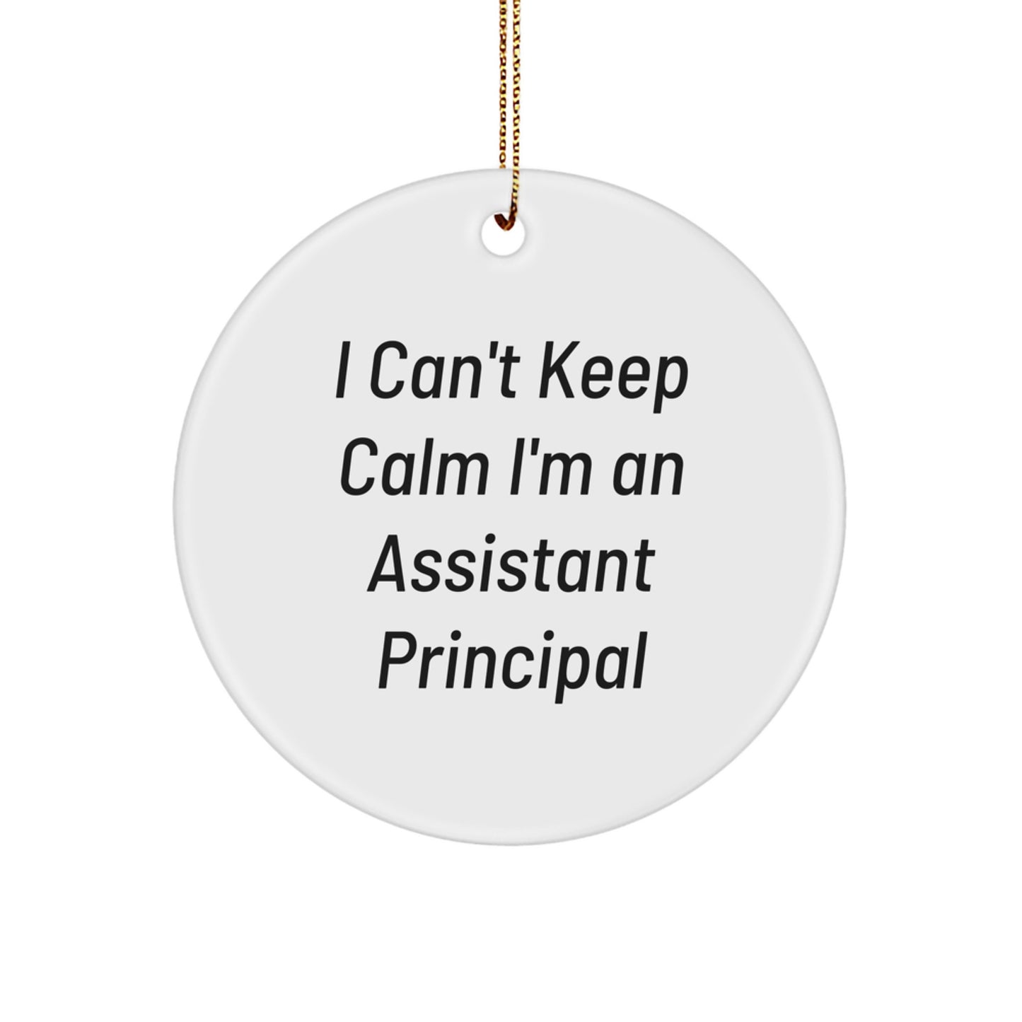 Funny Assistant Principal Gifts from Friends - I Can't Keep Calm I'm An Assistant Principal Circle Ornament, Christmas Unique Gifts for Assistant Principals, Men, Women, Family - Image 1