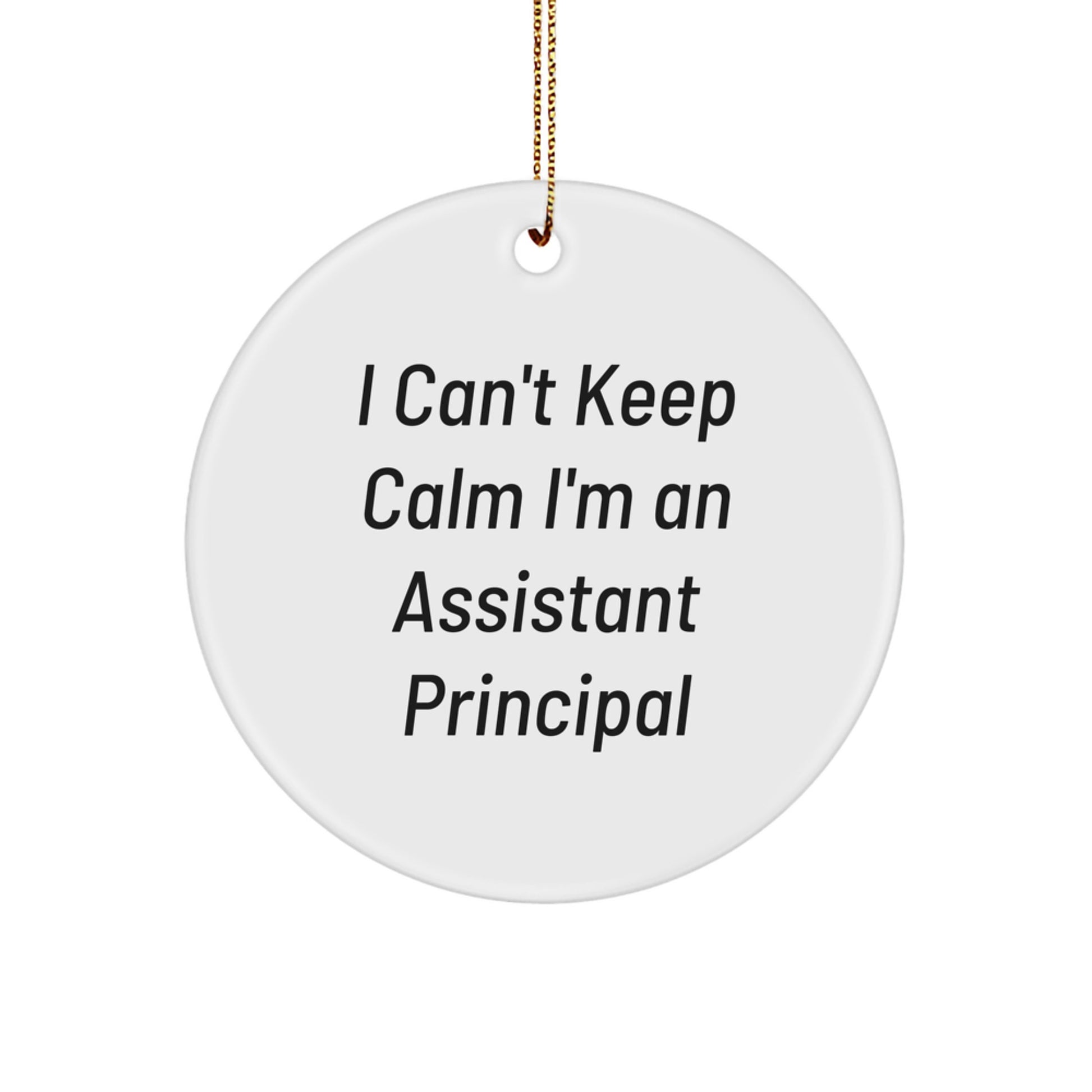 Funny Assistant Principal Gifts from Friends - I Can't Keep Calm I'm An Assistant Principal Circle Ornament, Christmas Unique Gifts for Assistant Principals, Men, Women, Family - Image 1
