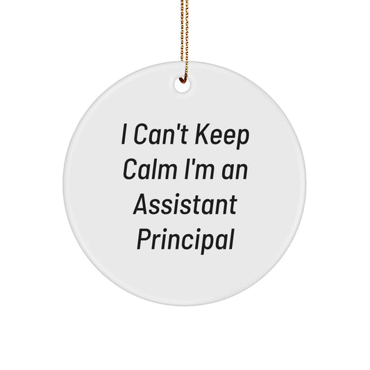 Funny Assistant Principal Gifts from Friends - I Can't Keep Calm I'm An Assistant Principal Circle Ornament, Christmas Unique Gifts for Assistant Principals, Men, Women, Family - Image 1