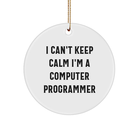 Funny Computer Programmer Gifts for Men, I'm A Computer Programmer Circle Ornament, Unique Christmas Decorations - Image 1
