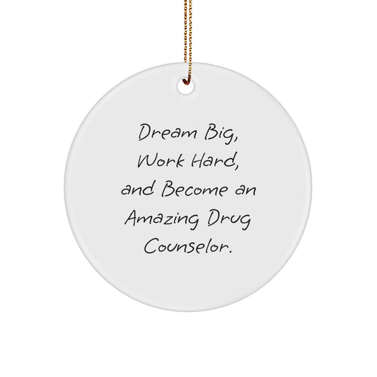 Dream Big, Work Hard Gifts for Drug Counselor, Funny Circle Ornament, Christmas Unique Gifts from Friends - Image 1