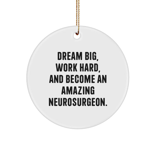 Inspirational Gifts from Friends for Amazing Neurosurgeons, Dream Big Work Hard Circle Ornament Christmas Unique Treasures - Image 1