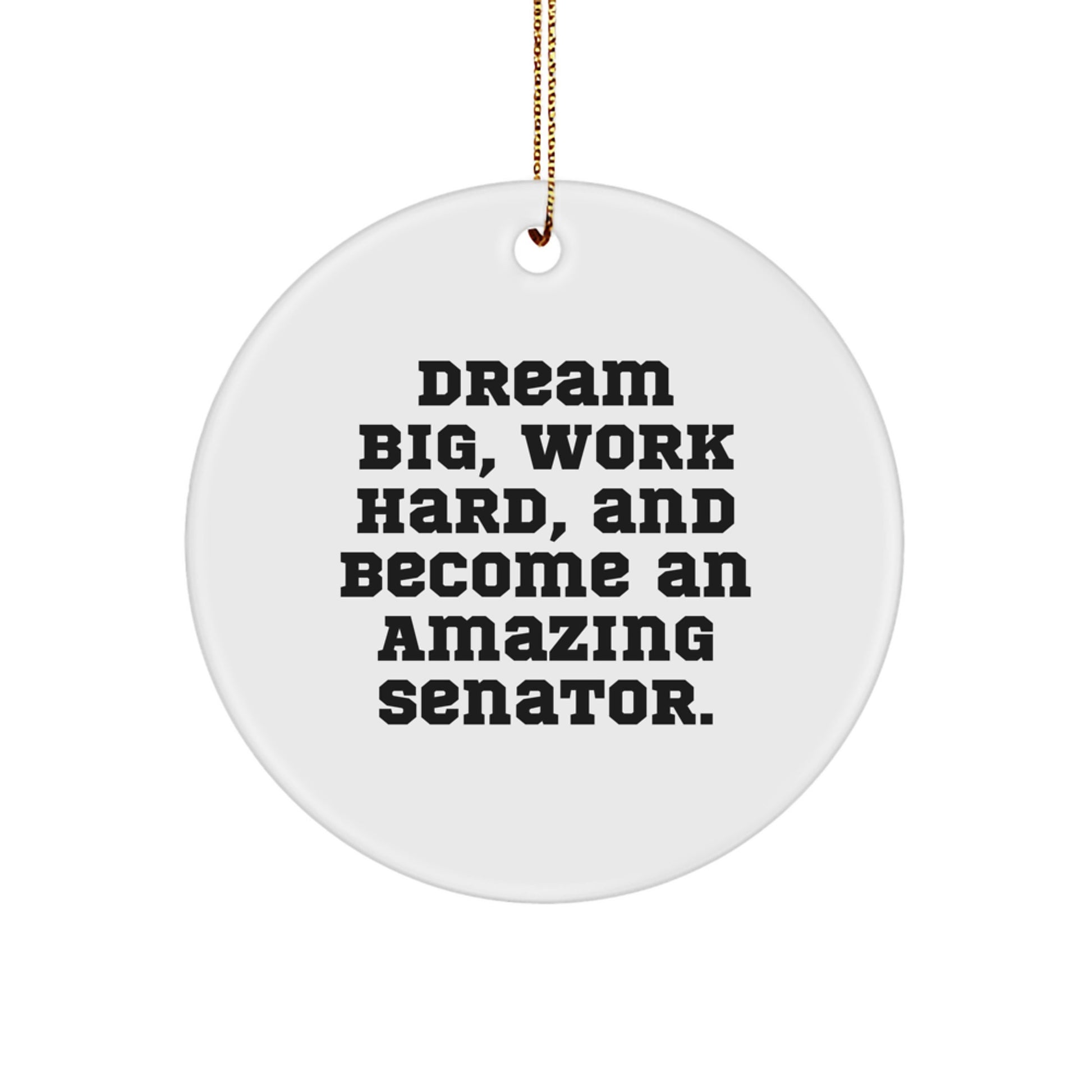 Funny Senator Gifts, Inspirational Quote Circle Ornament, Gifts from Friends for Senator, Christmas Unique Gifts for Men and Women - Image 1