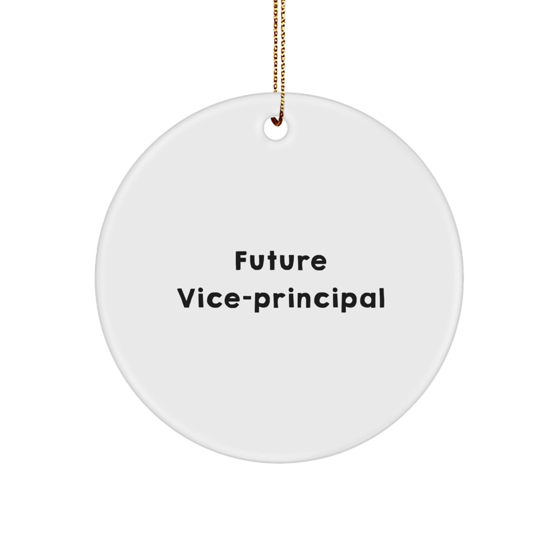 Funny Vice-principal Gifts from Friends - Cute Circle Ornament for Vice-principal Men at Christmas Unique Gifts for Vice-principal Office - Image 1