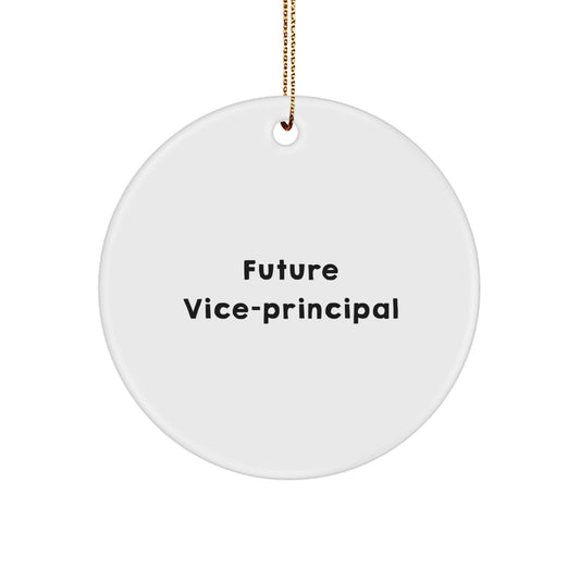 Funny Vice-principal Gifts from Friends - Cute Circle Ornament for Vice-principal Men at Christmas Unique Gifts for Vice-principal Office - Image 1