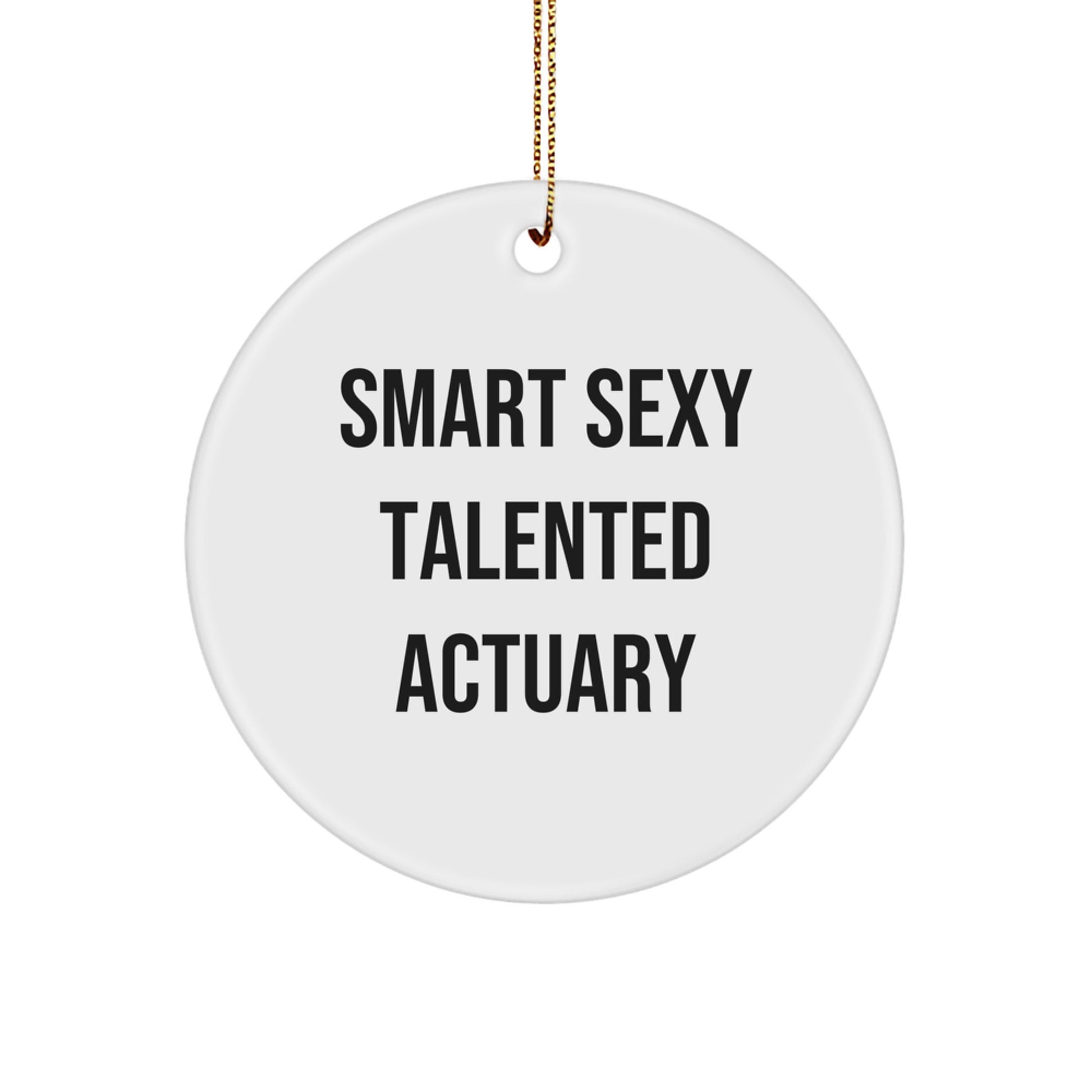Smart Sexy Talented Actuary Circle Ornament, Funny Gift for Actuaries, Christmas Unique Ornaments for Men or Women Friends, Gifts from Coworkers or Family - Image 1