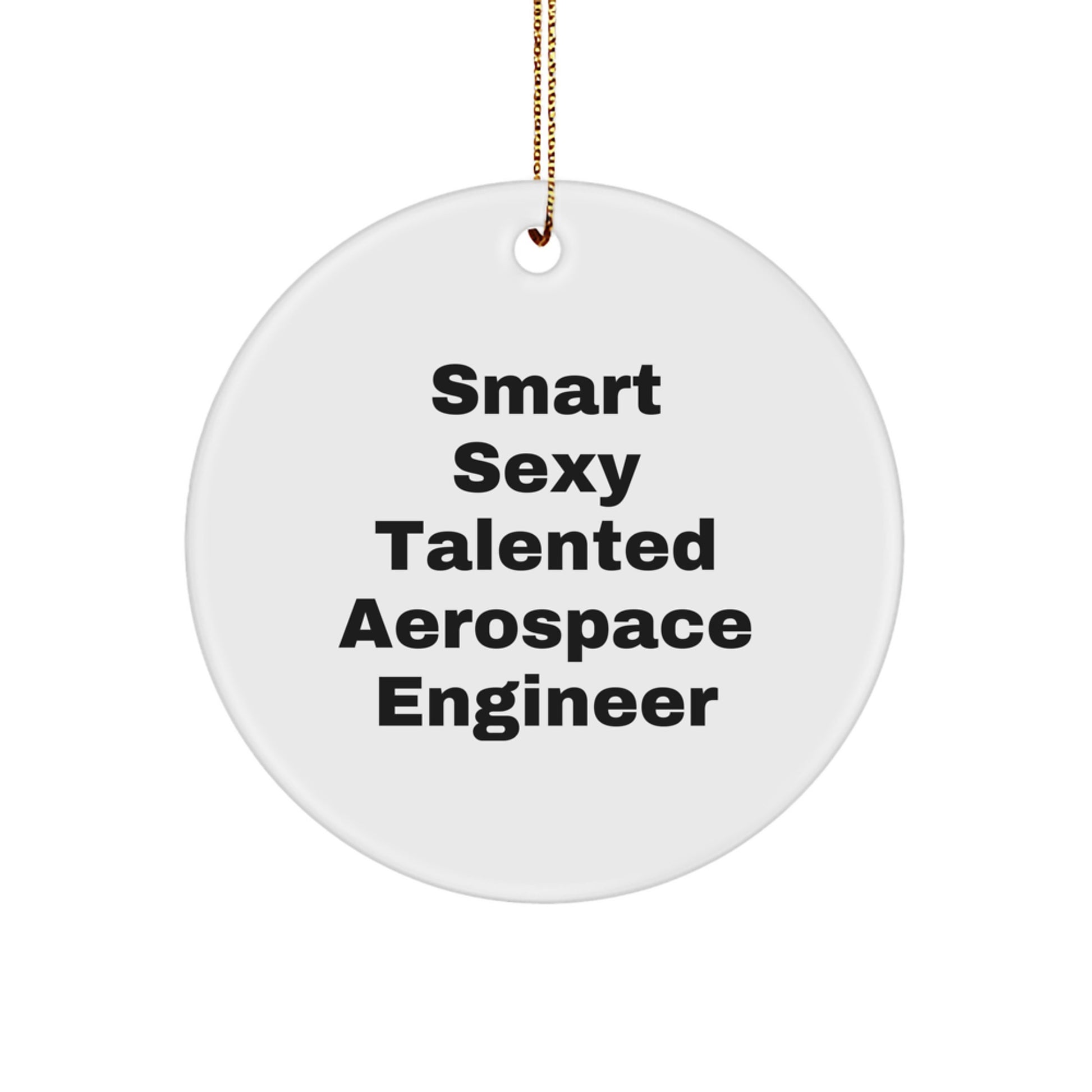 Funny Gifts from Friends for Aerospace Engineer, Smart Sexy Talented Circle Ornament, Christmas Unique Decorations - Image 1