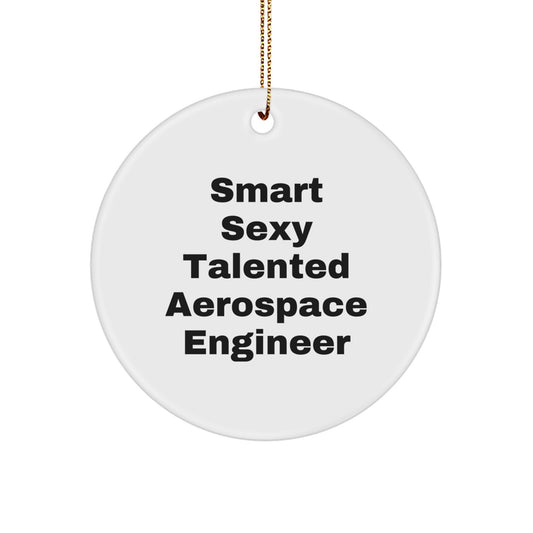Funny Gifts from Friends for Aerospace Engineer, Smart Sexy Talented Circle Ornament, Christmas Unique Decorations - Image 1