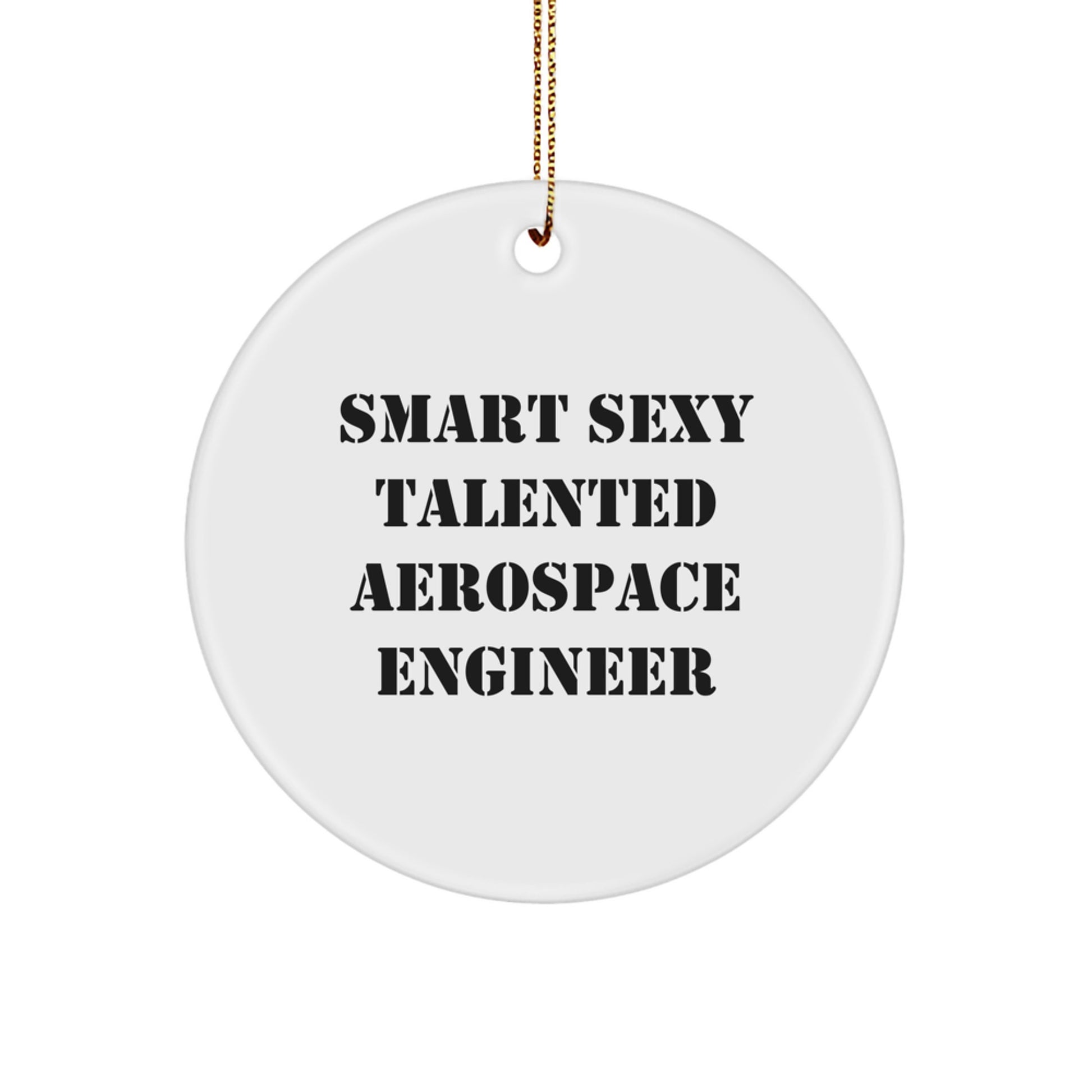 Smart Sexy Talented Aerospace Engineer Christmas Unique Gifts for Men from Family, Funny Circle Ornament, Aerospace Engineer Desk Decoration - Image 1