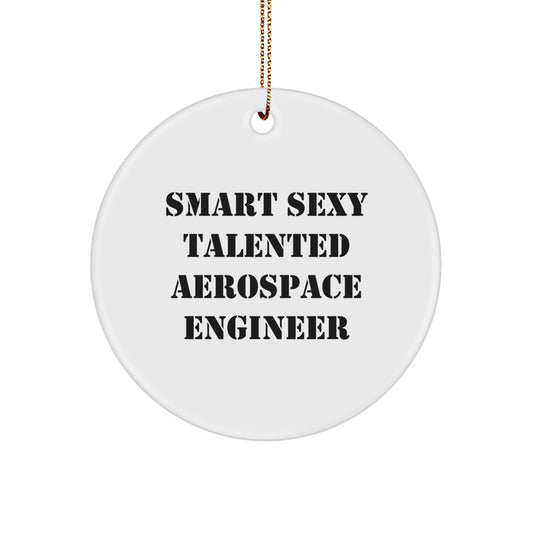 Smart Sexy Talented Aerospace Engineer Christmas Unique Gifts for Men from Family, Funny Circle Ornament, Aerospace Engineer Desk Decoration - Image 1